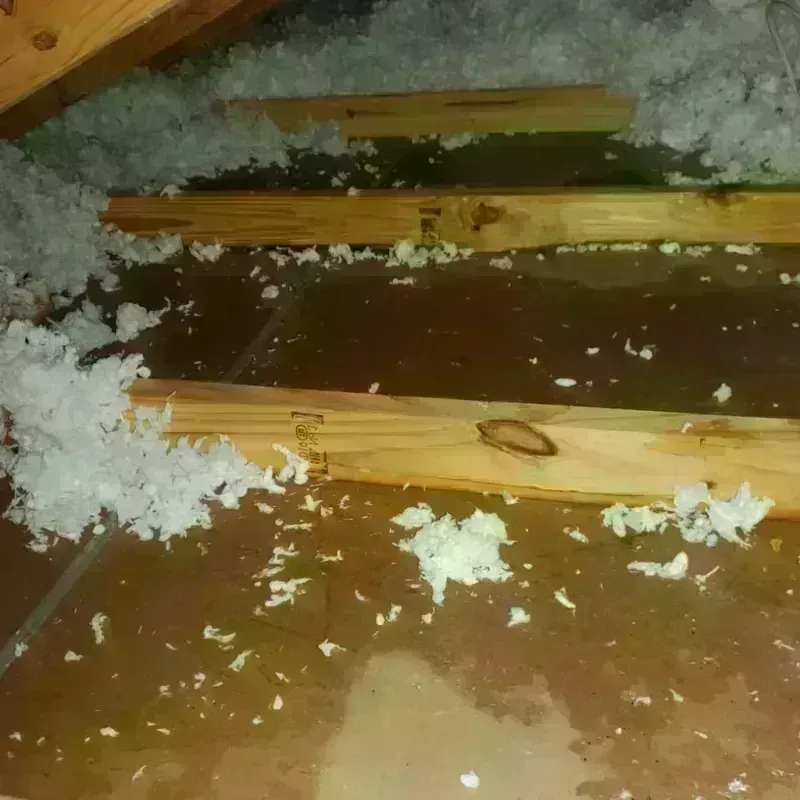 Attic Water Damage in Cobb County, GA