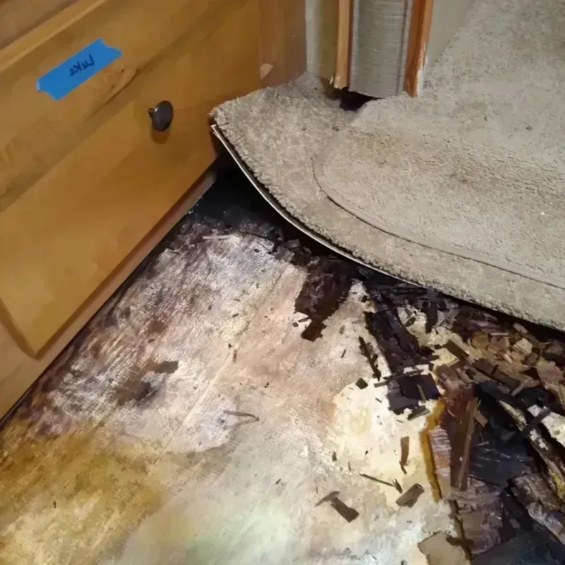 Best Wood Floor Water Damage Service in Cobb County, GA